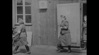Link to Video | Liberation of Nazi camps, concentration camp, Buchenwald concentration camp, crime against humanity, Germany, The Holocaust, 1945, suffering, Auschwitz, black and white