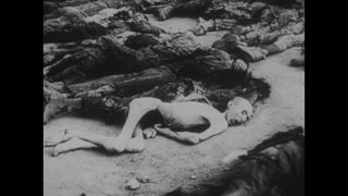 Link to Video | Liberation of Nazi camps, concentration camp, Mauthausen concentration camp, crime against humanity, The Holocaust, Austria, 1945, suffering, black and white