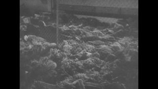 Link to Video | Liberation of Nazi camps, concentration camp, Mauthausen concentration camp, crime against humanity, The Holocaust, Austria, 1945, suffering, black and white