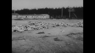 Link to Video | Liberation of Nazi camps, concentration camp, crime against humanity, Germany, The Holocaust, 1945, suffering, Bergen-Belsen concentration camp, black and white