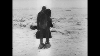 Link to Video | Eastern Front (World War II), black and white