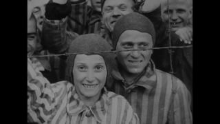 Link to Video | Auschwitz