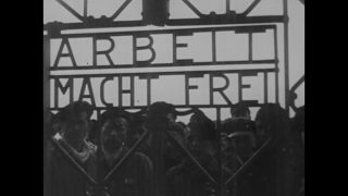 Link to Video | Auschwitz