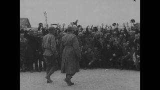 Link to Video | Auschwitz