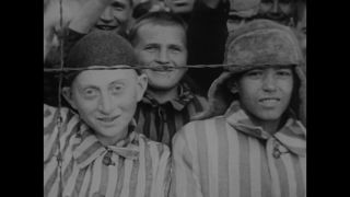 Link to Video | Auschwitz