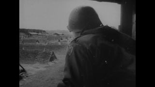 Link to Video | Auschwitz