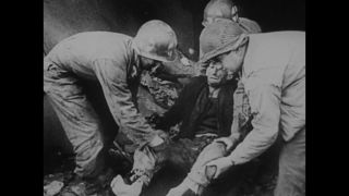 Link to Video | Auschwitz