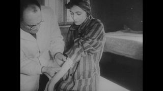 Link to Video | Auschwitz