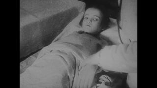 Link to Video | Auschwitz