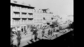 Link to Video | Eastern Front (World War II), black and white