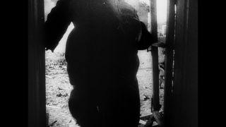 Link to Video | Eastern Front (World War II), black and white