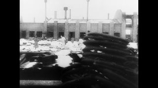 Link to Video | Eastern Front (World War II), black and white