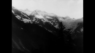 Link to Video | Eastern Front (World War II), black and white