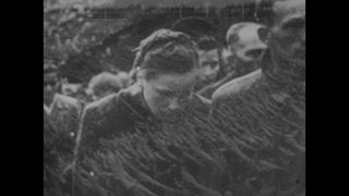 Link to Video | Begeisterung, crowd, cheering, Machtergreifung, Nazism