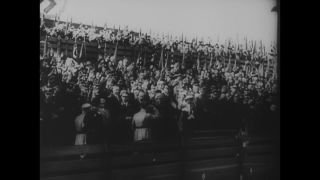 Link to Video | personality