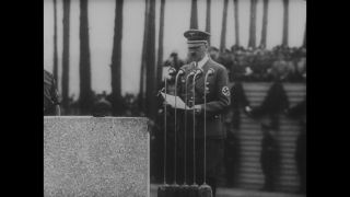 Link to Video | personality