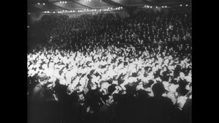 Link to Video | personality