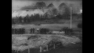 Link to Video | personality