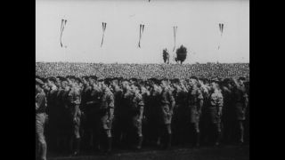 Link to Video | personality