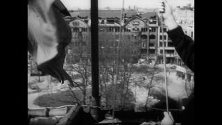 Link to Video | personality