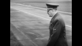 Link to Video | personality