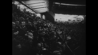 Link to Video | personality