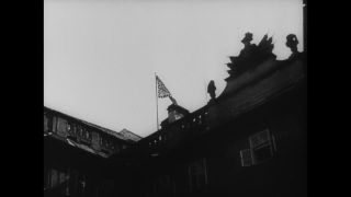 Link to Video | personality