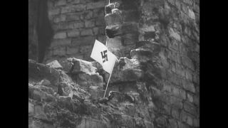 Link to Video | personality