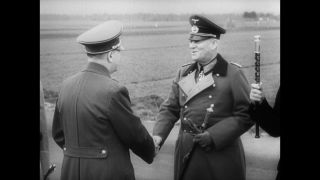 Link to Video | personality