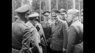 Link to Video | personality