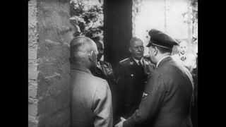 Link to Video | personality