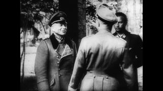 Link to Video | personality