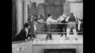 Link to Video | United States of America, Hollywood, Los Angeles, California