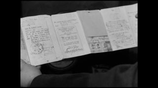 Link to Video | personality