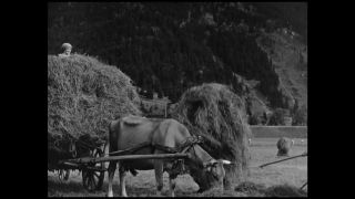 Link to Video | Allgäu, Germany, 1937, black-and-white photographic film, Third Reich, Bavaria