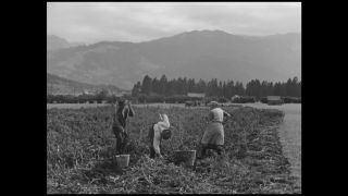 Link to Video | Allgäu, Germany, 1937, black-and-white photographic film, Third Reich, Bavaria