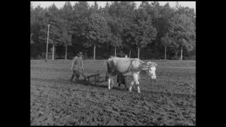 Link to Video | Allgäu, Germany, 1937, black-and-white photographic film, Third Reich, Bavaria