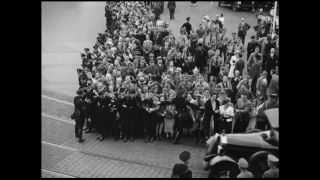 Link to Video | personality