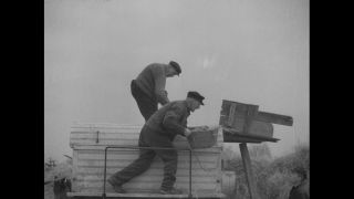 Link to Video | Germany