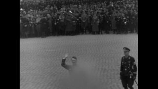 Link to Video | personality