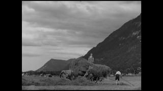 Link to Video | Allgäu, Germany, 1937, black-and-white photographic film, Third Reich, Bavaria