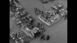 Link to Video | personality