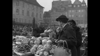 Link to Video | personality