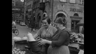 Link to Video | personality