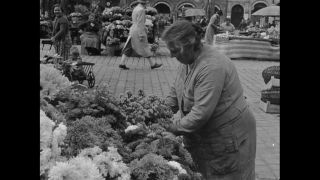 Link to Video | personality