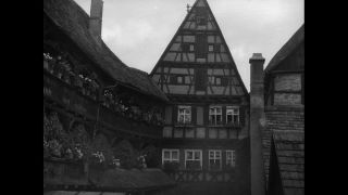 Link to Video | personality