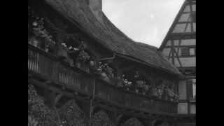 Link to Video | personality