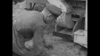 Link to Video | Germany