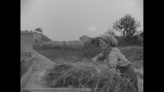 Link to Video | Germany