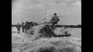 Link to Video | Germany